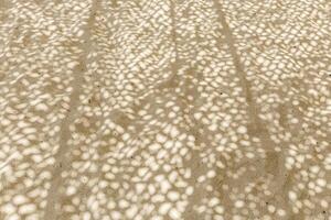 Shadow Patterns on Sand background, Natural light creates dappled shadow pattern on sandy beach. Summer time concept, nature backdrop. Top view texture photo