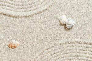 Seashells on Sandy background with Japanese Zen Garden concentric circles, shell on fine sand with gentle wave pattern, minimal and peaceful beach-inspired, neutral monochrome top view photo