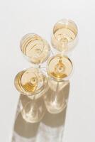 Close up four glasses of white wine, Aesthetic top view on white light background, minimal trend. Wine glass at sunlight, sun shadows and shiny glare glass. Light alcohol drinks for party, events photo