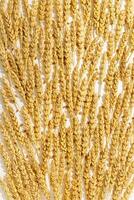 Pattern with ears of wheat, close up golden yellow wheat spikelets at sunlight, natural texture background. Top view minimal style, aesthetic trend, autumn seasonal harvest concept, cereal flat lay photo