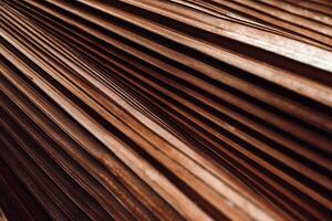 Brown texture of banana palm tree leaf. Close up nature background Striped lines on palm leaves as abstract texture backdrop, natural aesthetic botanical photo pattern of foliage