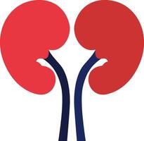 Red kidneys with blue ureters, a simplified medical icon depicting the human kidneys, showing anatomical form and essential organ structure vector