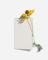 Minimal autumn floral flat lay with yellow dried flowers cosmos and empty paper card for text, white background, shadow from sunlight, Autumnal mock up card, top view, pastel color, copy space photo