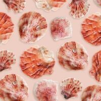 Minimal style pattern seashells white red colored on pale pink background. Natural scallop Shells, summer nautical life style, beauty nature, organic shapes, repeat composition, pastel color photo