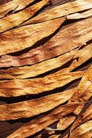 Natural autumn flat lay pattern from narrow yellow leaves with water drops on dark wooden background. Beautiful autumnal textured background, close up fall leaf top view, aesthetic nature photo
