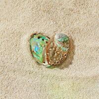 Aesthetic minimal love summer sea holiday concept, white seashells as heart on fine sand. Top view colorful abalone shells on sandy textured background, sea, blue green beige earthy color photo