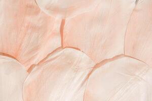 Nature abstract of flower petals, leaves with natural texture as natural background or backdrop. Macro texture, beige pink pastel colored aesthetic photo with veins of petals, botanical design.