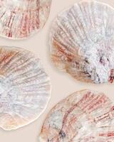 Minimal style pattern seashell ivory blue colored on beige background Natural clams, Shells of mollusk, summer nautical life style, beauty nature, organic shapes, repeat composition, pastel color photo