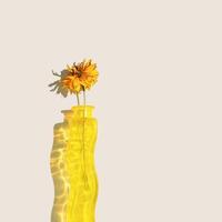 Yellow dried flower cosmos in yellow glass vase with colored reflection on beige background, beautiful shadow from sunlight, Autumn still life, creative aesthetic minimal style flat lay, copy space photo