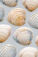 Colored Seashells Minimal Pattern on blue, oceanic and sea life decor, aesthetic summer background with beige blue conchs, shell of mollusks, creative still life, nature abstract, nautical theme photo
