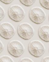 Minimal style pattern wih Skeleton of sea urchin or Sand Dollar, oceanic aesthetic top view beige background, marine life nature design, Summer vibes tranquil nature, pale pastel color, nautical style photo
