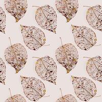 Golden skeletonized leaf on beige, autumn leaves seamless pattern background. Beauty nature concept. Fall season botanical pattern from close up foliage natural texture, vein of leaves photo