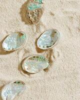 Seashells abalone on Sandy background, shell with iridescent pearlescent surface on fine sand, minimal and peaceful beach-inspired composition under soft light, beauty nature and sea concept photo