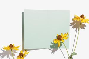 Top view yellow flowers cosmos and empty paper card for text, white background, shadow from sunlight, Autumn, fall blossoms and mock up invitation card with copy space, nature design postcard photo
