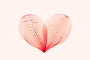 Abstract shape heart from pink red delicate flower petals, natural texture pressed leaf on pele pink background. Macro texture, minimal botanical design card, wedding invitation, monochrome photo