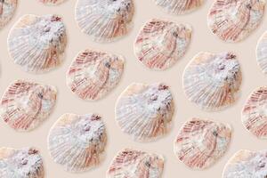 Pastel Colored Seashells Minimal Pattern on beige, oceanic and sea life decor, aesthetic summer background with blue pink conchs, scallop shells, creative still life, nature abstract, nautical style photo