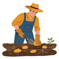 Farmer Planting Potatoes in Soil with Garden Tool and Hat vector