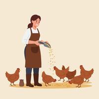 Woman Feeding Chickens with Grain From a Scoop on a Farm vector