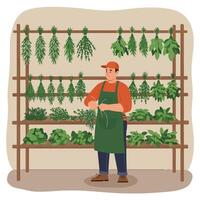Preparing Fresh Herbs Man in Apron Arranging Bunch on Shelf vector