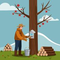 Collecting Maple Sap From Tree with Bucket in Forest Setting vector