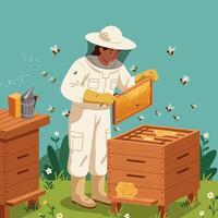 Beekeeper Inspecting Honeycomb with Bees Flying Around in Sunny Field vector