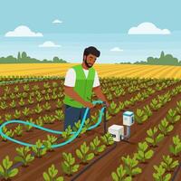 Farmer Irrigating Crops with Drip Irrigation System in a Field vector