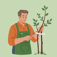 Man Grafting a Young Tree Using Knife and Grafting Tape vector