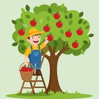 Picking Ripe Apples From a Tree on a Sunny Day vector