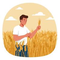 Man Examining Wheat in Field Harvesting Crop Concept Illustration vector