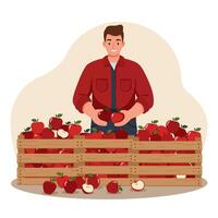 Man Holding Apples by Wood Crate Filled with Red Apples vector