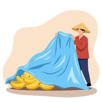 Person Covering Bananas with Sheet Fresh Tropical Fruit Harvest vector