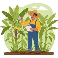 Farmer Inspecting Banana Crop with Clipboard in Farm Setting vector