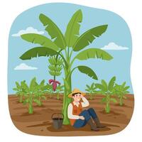Farmer Resting Near Banana Tree in Field on Sunny Day vector