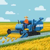 Farmer Harvesting Rice Field Using Combine Harvester in Agricultural Setting vector