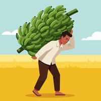 Man Carrying Large Bunch of Bananas on Back in Field vector