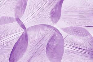 Nature pattern of dry petals, transparent leaves with natural texture as natural background Macro texture, skeleton flower petal. Monochrome lavender color aesthetic beauty of nature photo