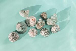 Top view abstract sea water with shells at sunlight, light and shadow, seashell, conch on blue mint colored background, stylish still life summer sea flat lay, sun flare, gradient color photo