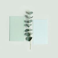 Blank green cards for text table, Greeting or invitation paper texture empty card with eucalyptus branches. Flat lay in green colored, copy space, minimal life style Natural organic concept photo