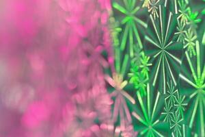 Defocused abstract background blurred foil green and magenta colors. Optical blur at sunlight, texture pattern of iridescent colored. Blur wallpaper, fon, backdrop, design elements. Trend color photo