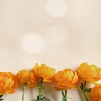 Minimal top view seasonal styling frame from delicate small flower orange peony, beige background with sun glare bokeh, nature design flat lay spring season card, natural blossoming blooms photo