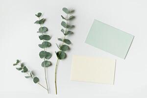 Blank green cards for text on table, Greeting or invitation paper texture empty card with eucalyptus branches. Flat lay in green colored, copy space, minimal life style Natural concept photo