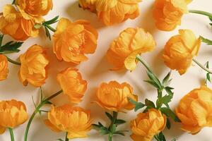 Minimal pattern from orange color flowers Trollius or Globeflower on beige background, monochrome aesthetic botanical flat lay, natural blooming spring florets, abstract nature still life photo