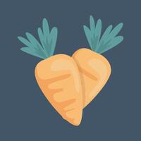 two carrot in isolated flat design vector