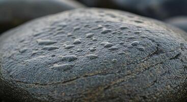A Detailed CloseUp of a Wet Dark Grey Coastal Rock Covered in Water Droplets photo