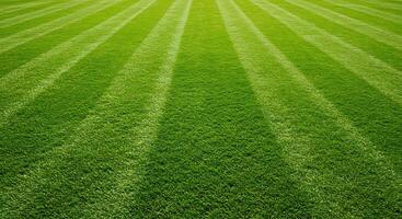 Perfectly manicured lawn with precise stripes creates a verdant inviting landscape and showcases ex photo