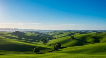 The Serene Rolling Hills of Tuscany photo