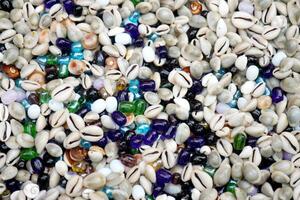 Collection of Cowrie shells from Sea photo