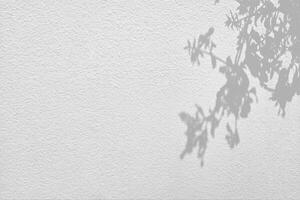 Light Beam and Shadow Leaves on Clean Concrete Wall Background with Space for Text. photo