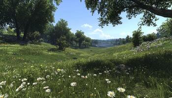 peaceful wildflower meadow with sunlight creating soft glow photo