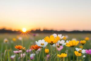 Serene wildflower meadow at dawn with sunlight breaking through. photo